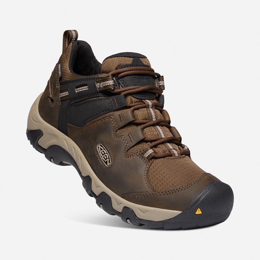 Chaussure de Randonnée Keen Homme Marron/Noir | Steens Waterproof | HXAWD-6931